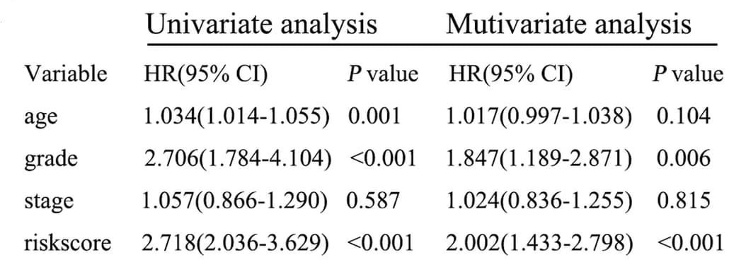 Open access visualization of Table Image, Risk signature, Clinical factors, Univariate analysis, Multivariate analysis
