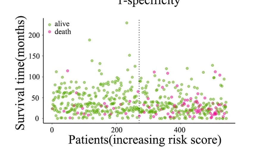 Open access visualization of Scatter Plot, Risk score, Survival status