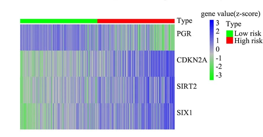 Open access visualization of Heatmap, EMT-related genes, High-risk group, Low-risk group, Gene expression
