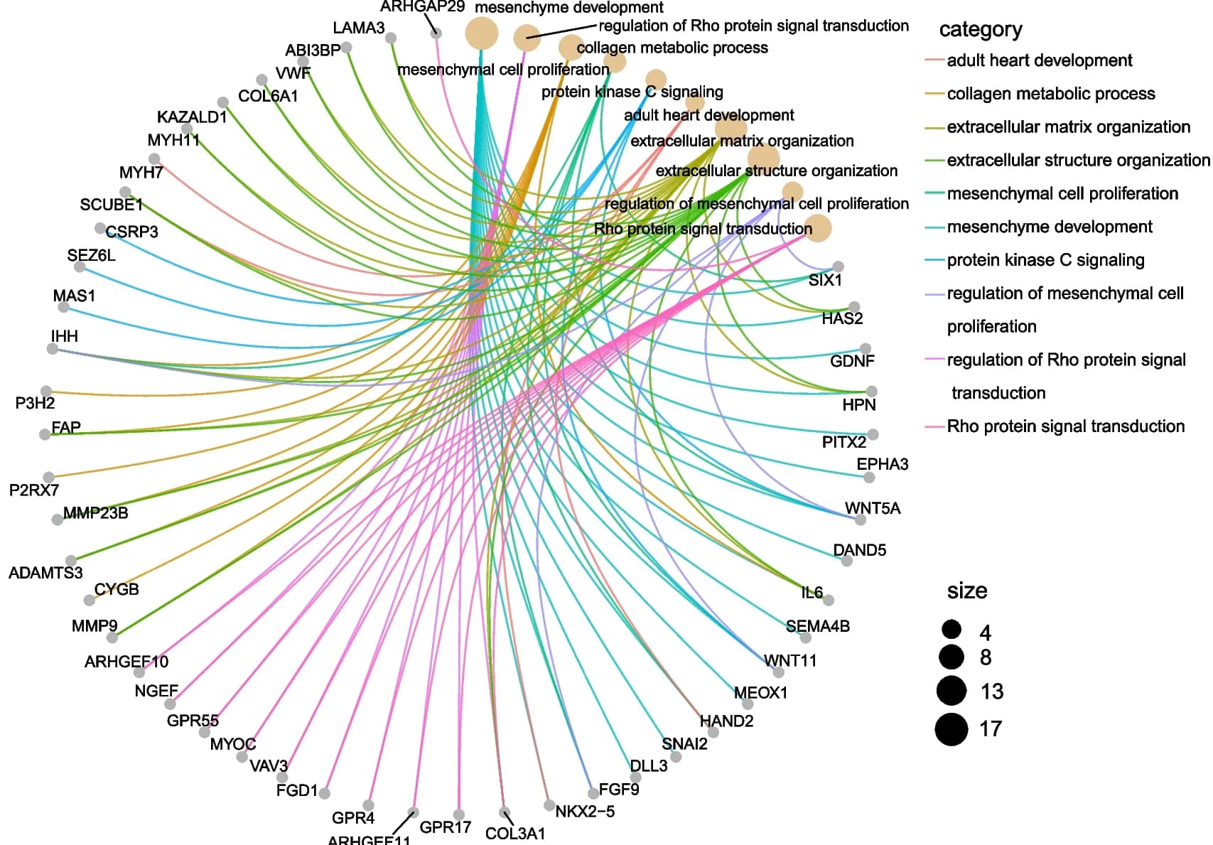 Open access visualization of Chord, Network, Circos Plot, GO Enrichment Analysis, Co-expressed Genes
