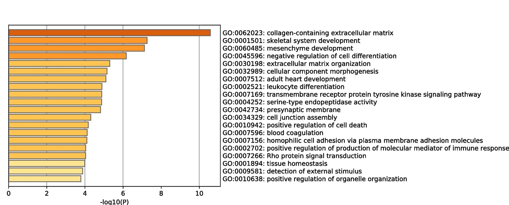 Open access visualization of Bar Plot, Bar Graph, GO Enrichment Analysis, Metascape
