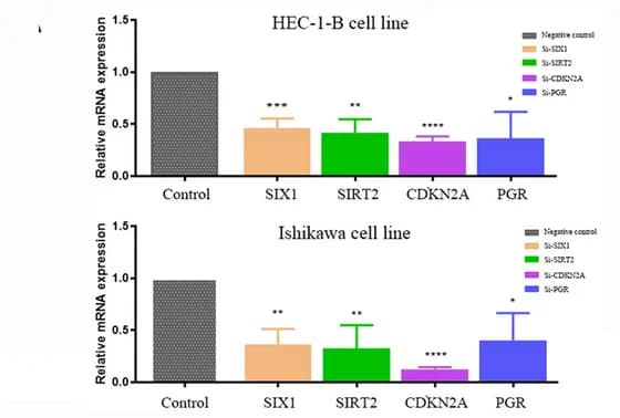 Open access visualization of Bar Plot, Error Bars, EMT-related Genes, HEC-1-B Cell Line, Ishikawa Cell Line