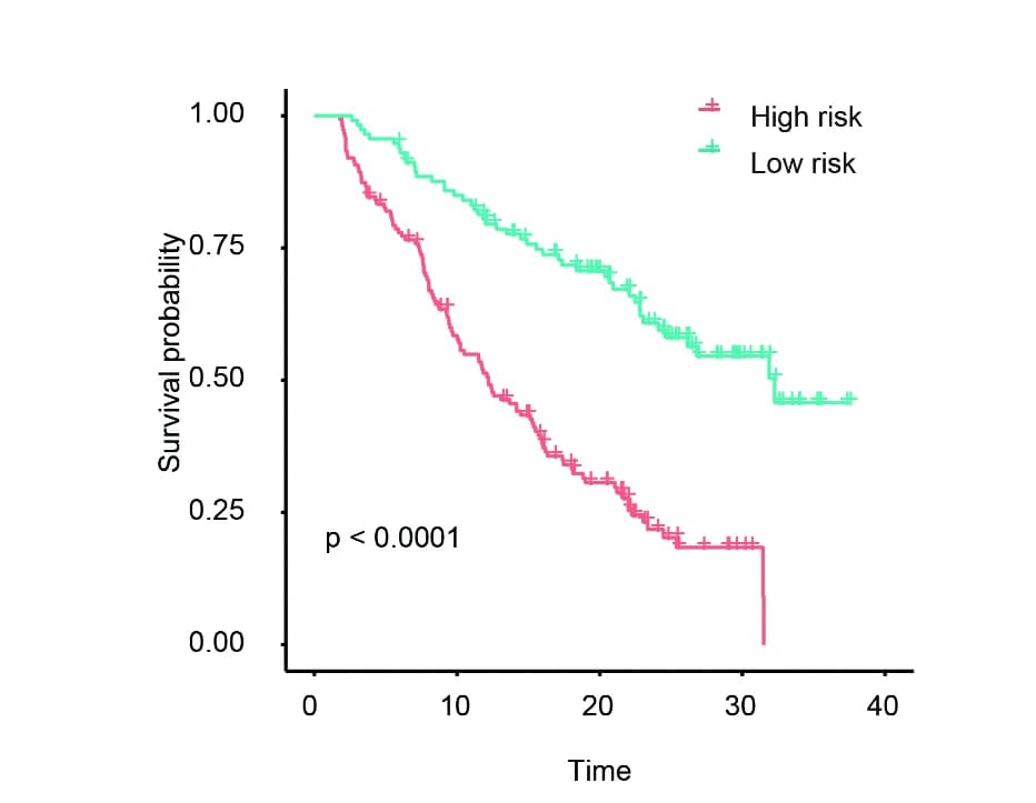 Open access visualization of Survival Curve, Kaplan-Meier Survival Analysis, Training Cohort, Risk Score