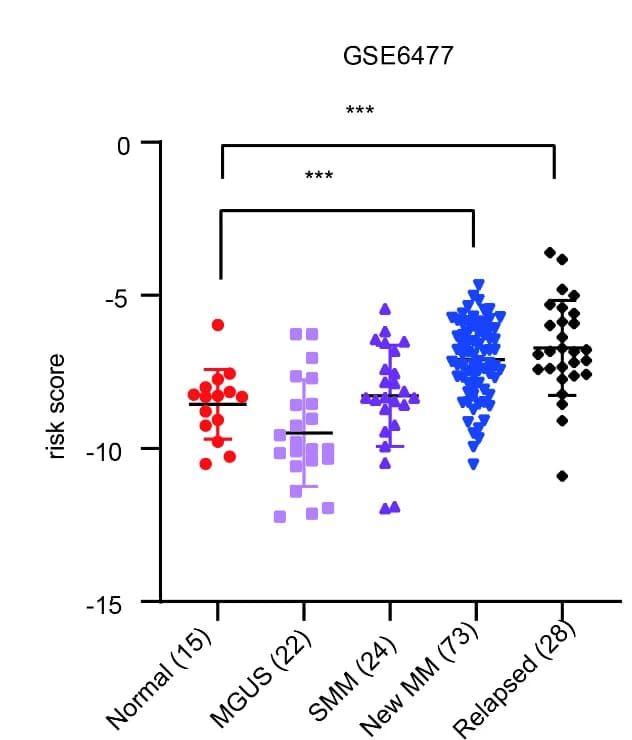 Open access visualization of Scatter Plot, Calibration plot, Nomogram, Overall survival