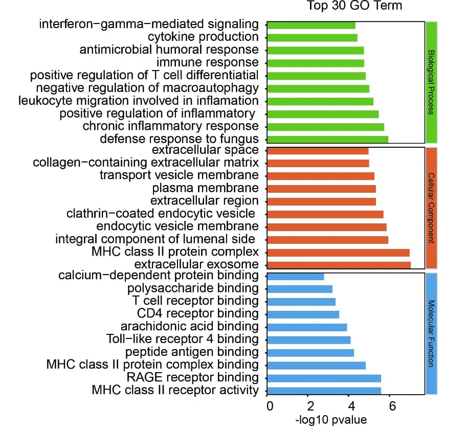 Open access visualization of Bar Plot, Gene Ontology, Biological Process, Downregulated DEGs