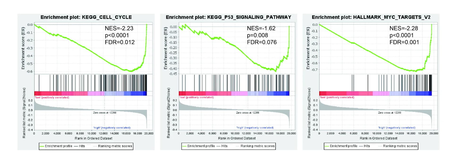 Open access visualization of Line Plot, Bar Plot, GSEA Analysis, KEGG Gene Set, HALLMARK Gene Set