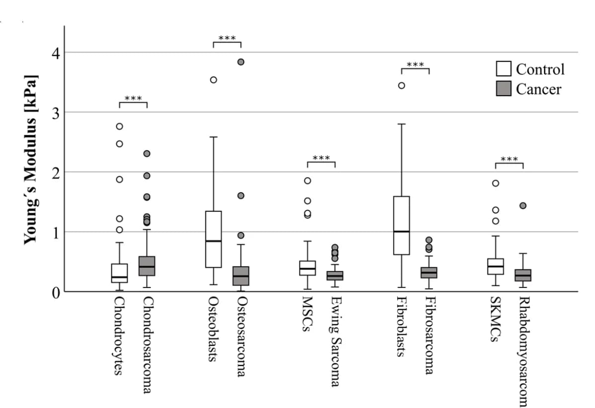 Open access visualization of Box Plot, Scatter Plot, Cellular Stiffness, Cell Lines, Healthy Control Cells