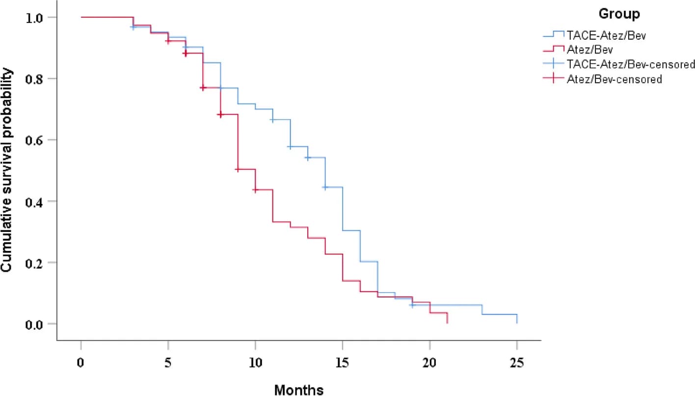 Open access visualization of Survival Curve, Line Step, Kaplan-Meier Curves, Survival, HCC Patients