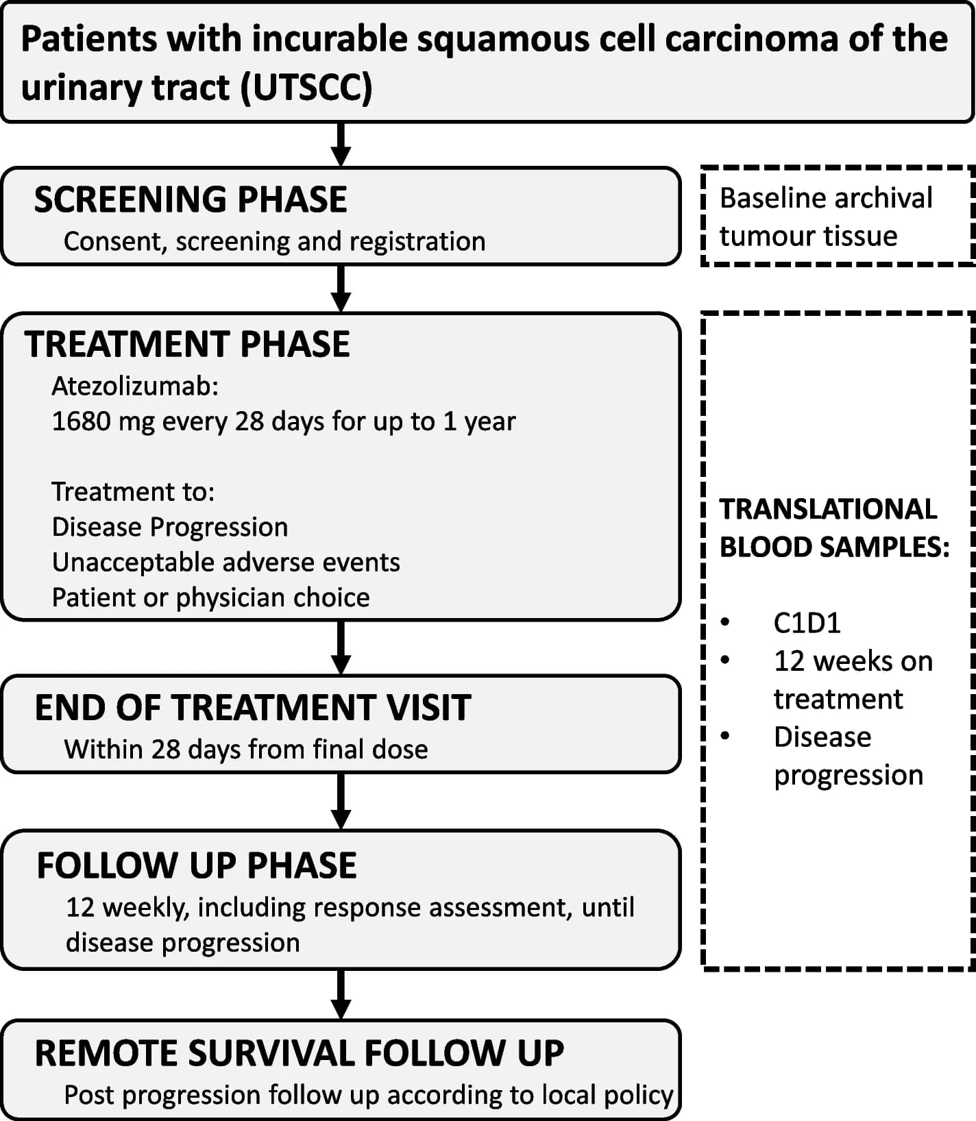 Open access visualization of Workflow, Flowchart, AURORA Trial, Metastatic Breast Cancer, Hormone Receptor