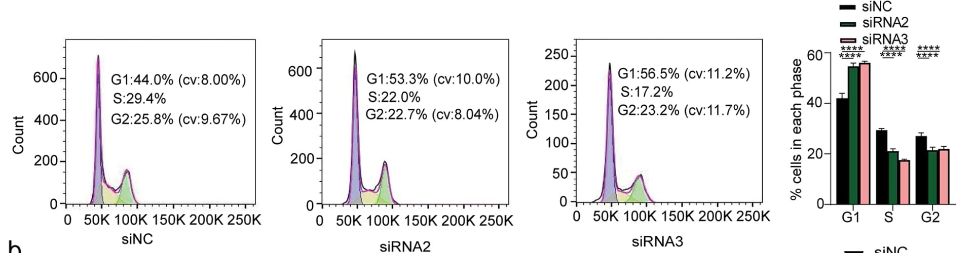 Open access visualization of Histogram, Bar Plot, Clustered, PLCD3, Cell Cycle