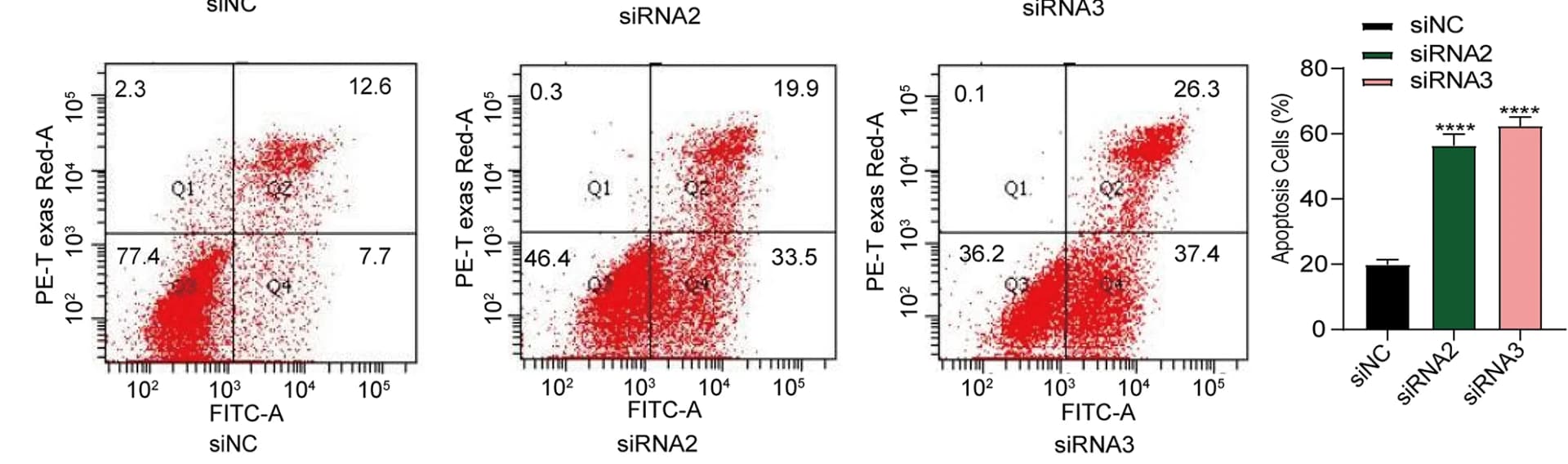 Open access visualization of Scatter Plot, Bar Plot, Error Bars, PLCD3, Apoptosis