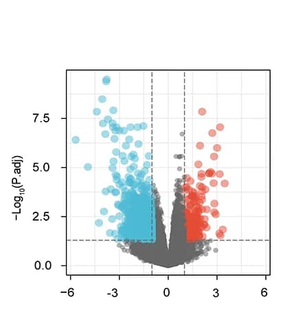 Open access visualization of Volcano Plot, DEGs, Upregulated Genes