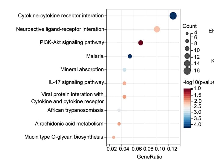 Open access visualization of Bubble Plot, Scatter Plot, Volcano Plot, KEGG Enrichment Analysis, Upregulated DEGs
