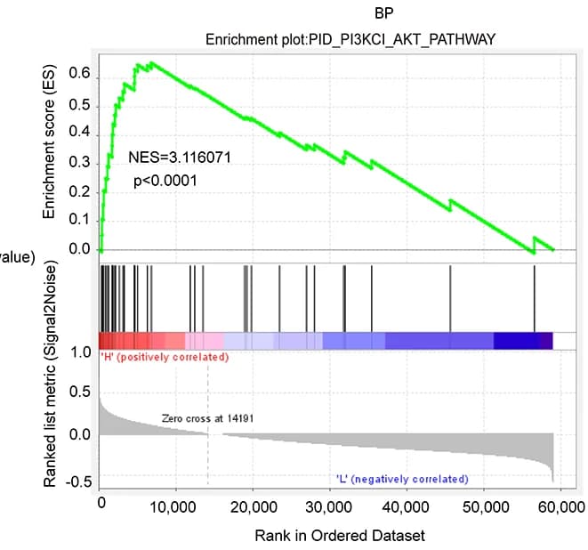 Open access visualization of Line Plot, GSEA Analysis, PCLD3 Expression, PI3K/AKT Pathway