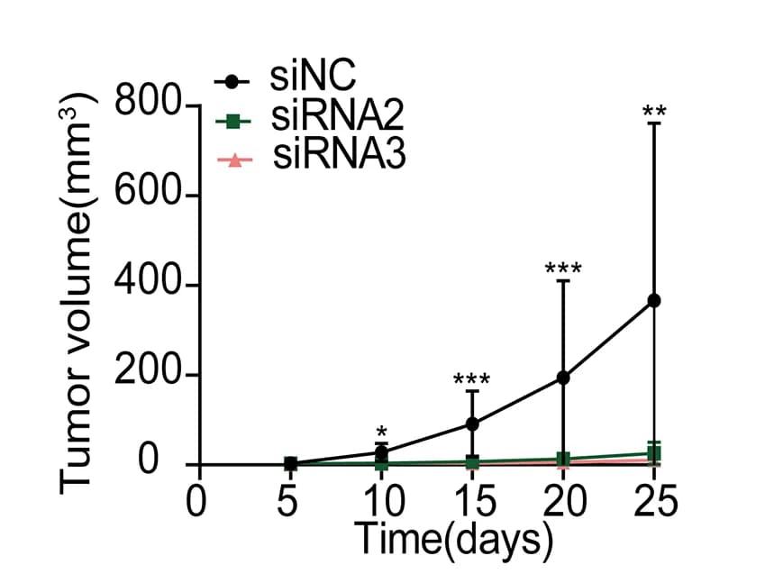 Open access visualization of Line Plot, Error Bars, Tumor Volume
