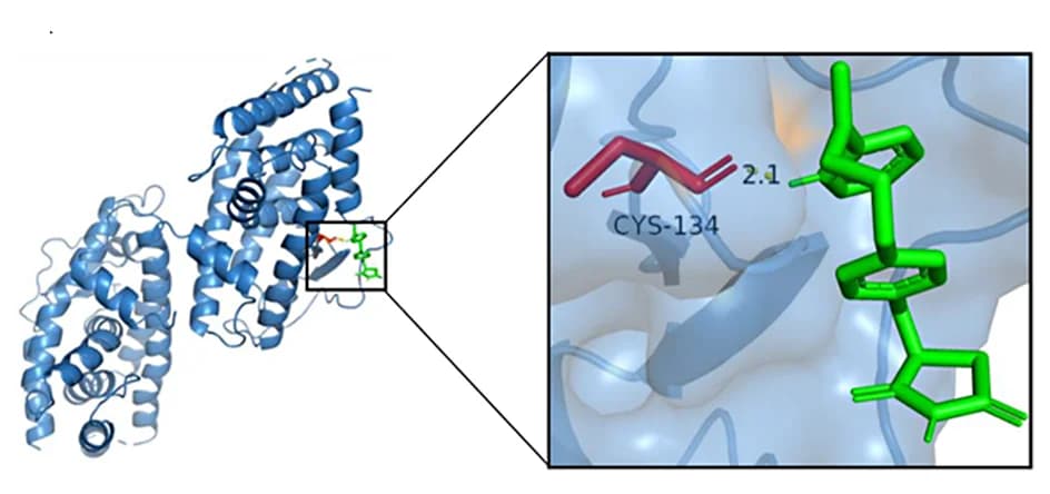 Open access visualization of Protein Structure, Chemical Structure, Molecular Docking, CD36, Rosiglitazone