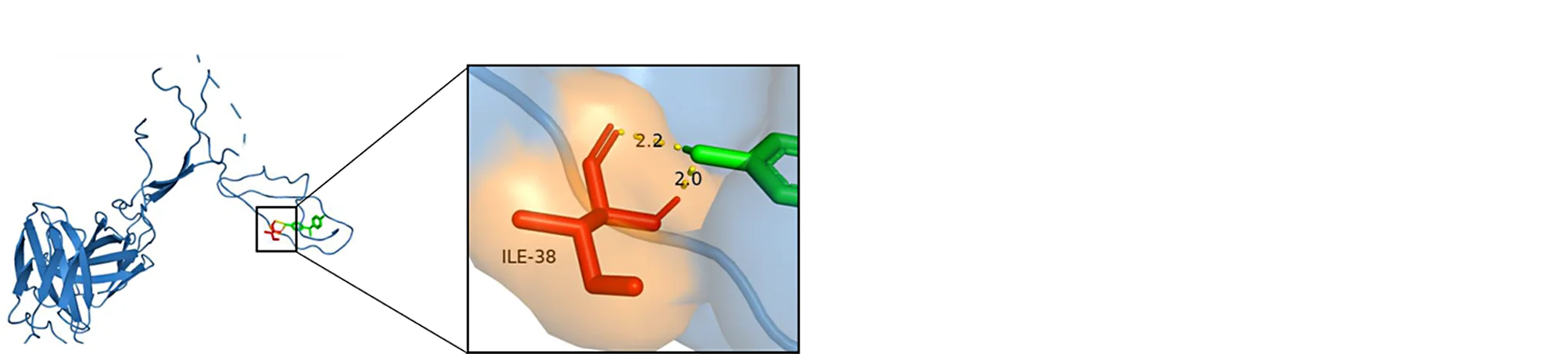 Open access visualization of Protein Structure, Chemical Structure, Molecular Docking, STOM, Bisphenol A