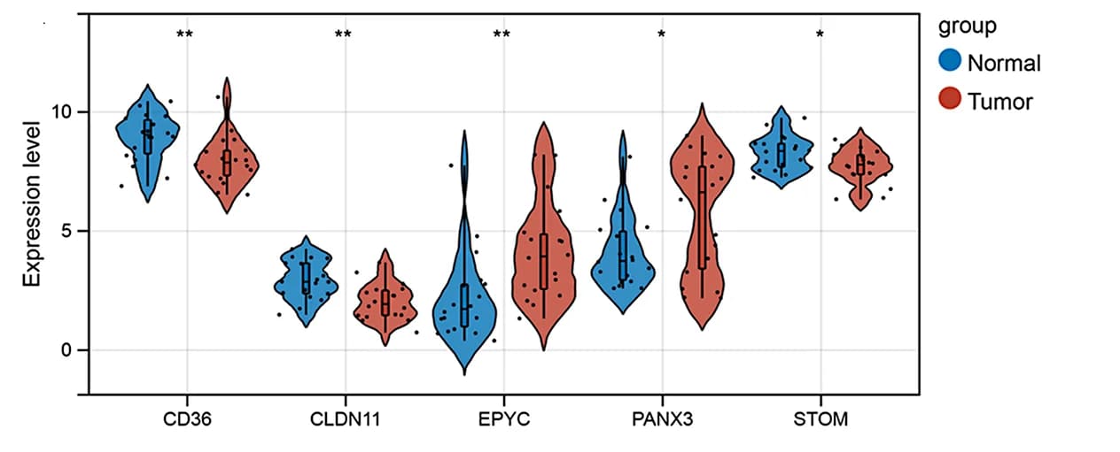 Open access visualization of Violin Plot, Box Plot, Scatter Plot, DEGs, GAPDH