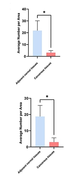 Open access visualization of Bar Plot, Error Bars, Average Number, Area, Statistical Significance