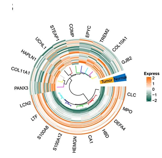 Open access visualization of Heatmap, Clustered, Normal Samples, Osteosarcoma Samples, Gene Expression