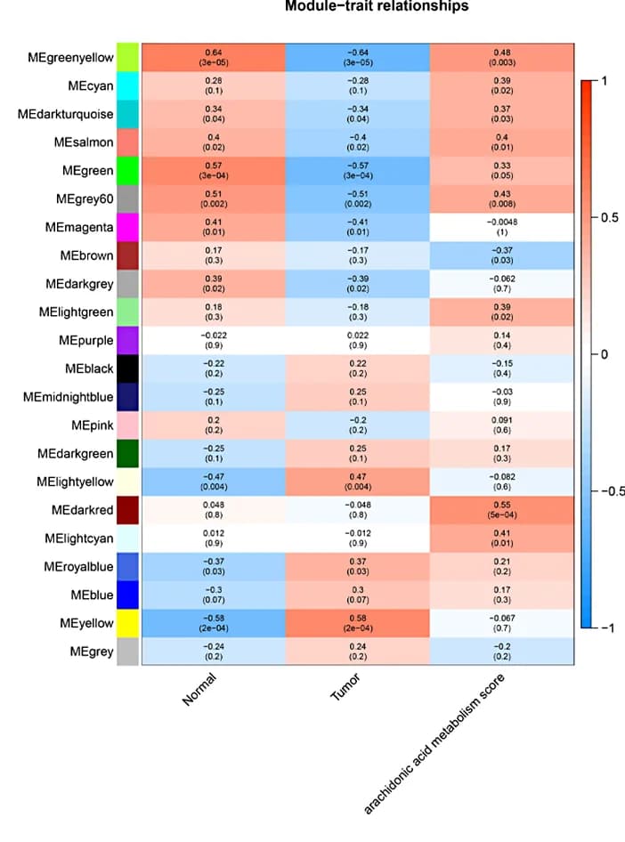 Open access visualization of Heatmap, WGCNA Analysis, AAMRGs Scores, Osteosarcoma, Gene Correlation