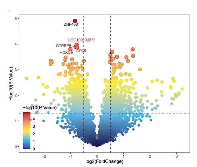 Open access visualization of Volcano Plot, Scatter Plot, Volcano Map, DE-AAMRGs, Differentially Expressed Genes