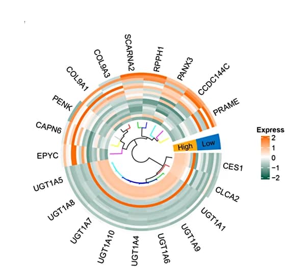 Open access visualization of Heatmap, Clustered, DE-AAMRGs, Gene Expression