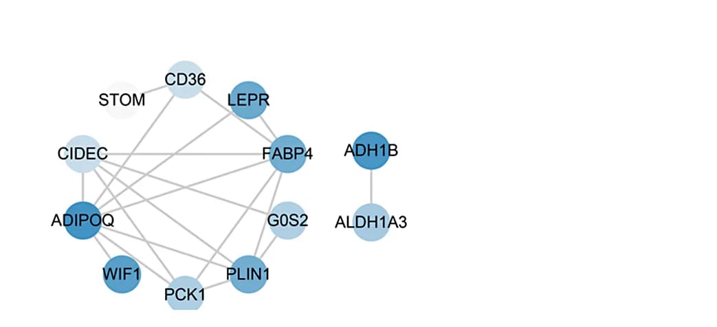 Open access visualization of Network, Pathway, Protein-Protein Interaction Network, Protein Interaction