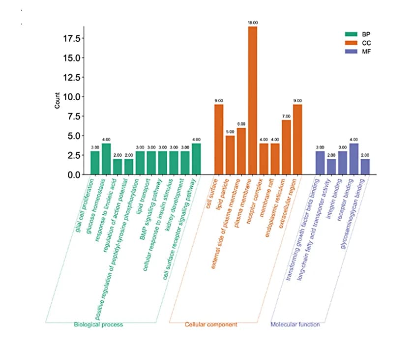 Open access visualization of Bar Plot, GO Enrichment Analysis, Intersecting Genes, Biological Process, Cellular Component