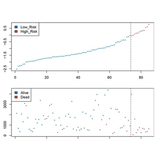 Open access visualization of Scatter Plot, Risk Score, Survival Status, AAMRS, Training Set
