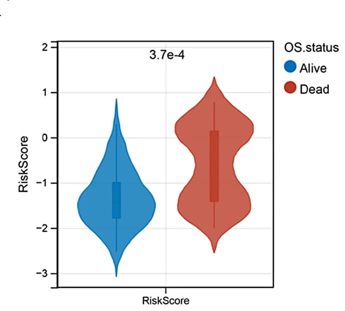 Open access visualization of Violin Plot, Box Plot, Risk Scores, Clinical Characteristics, Correlation
