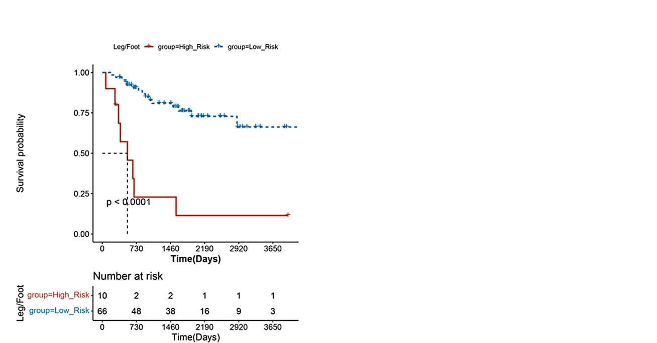 Open access visualization of Survival Curve, Survival Curves, Risk Groups, Clinical Characteristics, Stratification