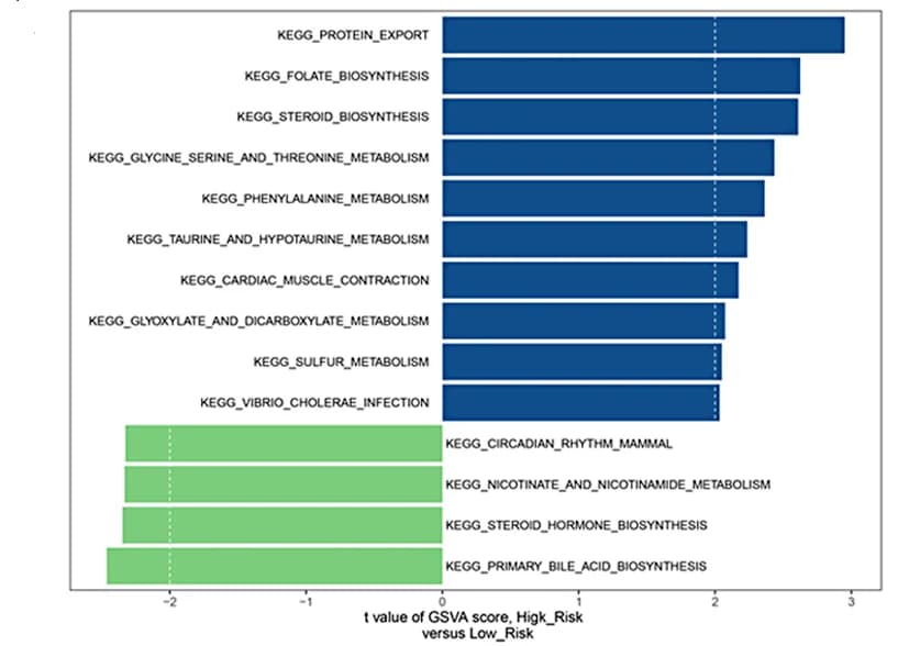Open access visualization of Bar Plot, Cluster Map, KEGG Pathways, Risk Groups