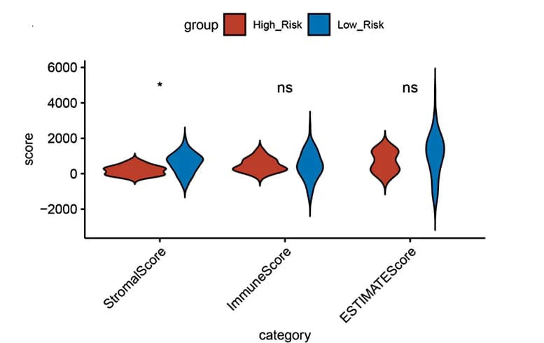 Open access visualization of Violin Plot, Risk Signature, Stromal Score, Immune Score, ESTIMATE Score