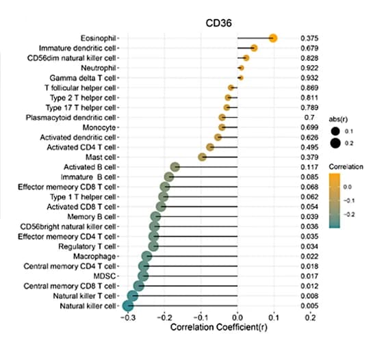 Open access visualization of Bubble Plot, Gene Correlation, Immune Cell Infiltration, Prognostic Model, Positive Correlation