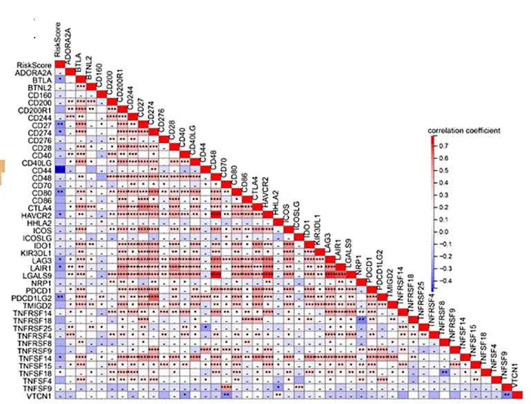 Open access visualization of Heatmap, Clustered, Risk Score, Immune Checkpoint, Correlation Heatmap