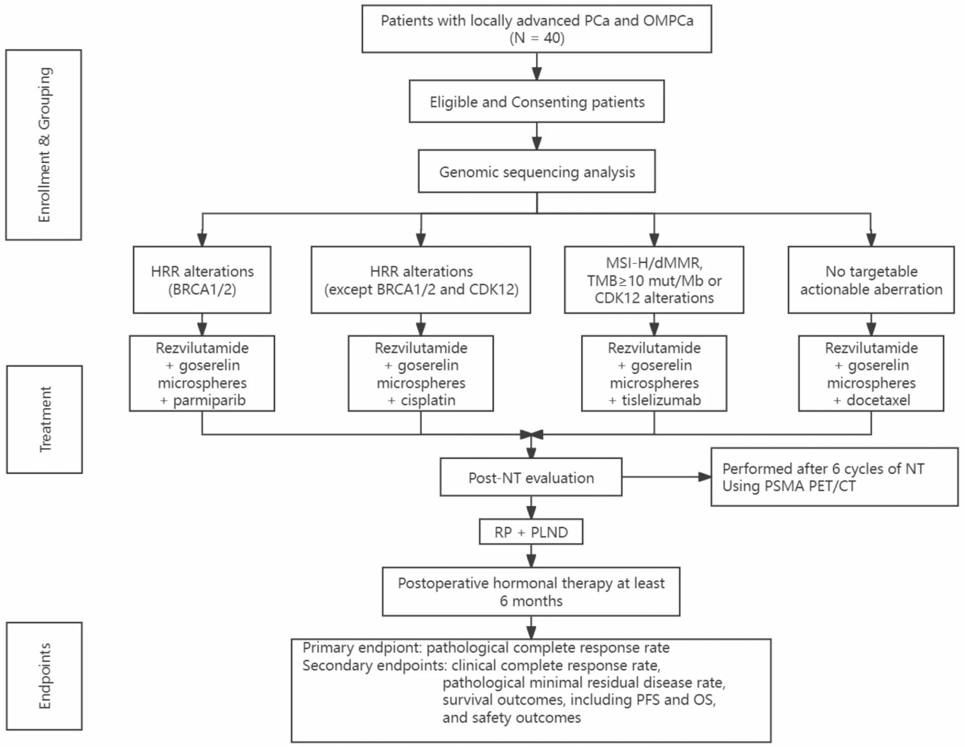 Open access visualization of Workflow, Flowchart, Prostate Cancer, Oligometastatic Prostate Cancer, Homologous Recombination Repair