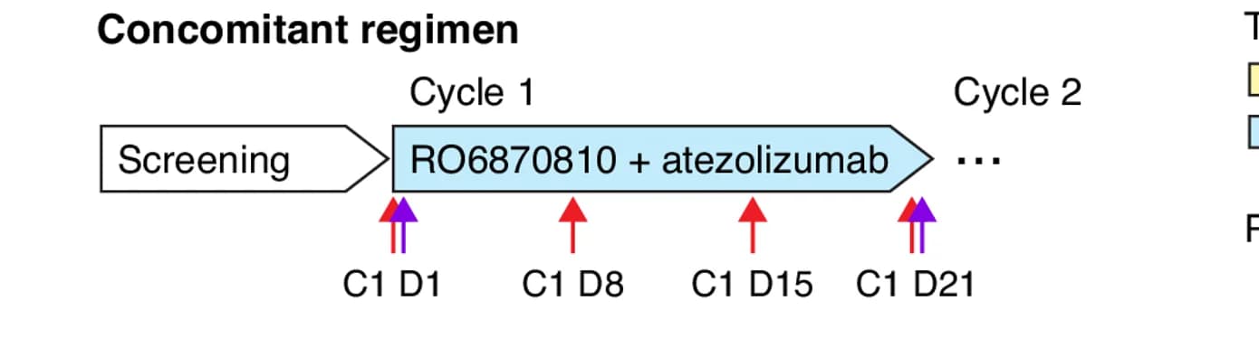 Open access visualization of Workflow, Flowchart, RO6870810, Atezolizumab, Tumor Biopsies