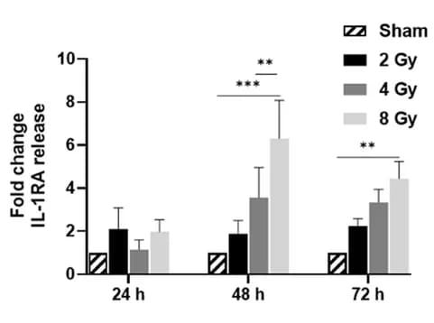 Open access visualization of Bar Plot, Error Bars, Clustered, Cal-27 Cells, HNSCC Cells
