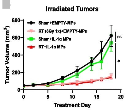 Open access visualization of Line Plot, Error Bars, Tumor Growth, Irradiated Tumors, SEM