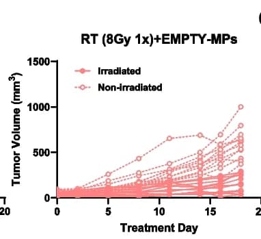 Open access visualization of Line Plot, Tumor Growth Rate, Non-Irradiated Tumors, Individual Animals, Spaghetti Plots