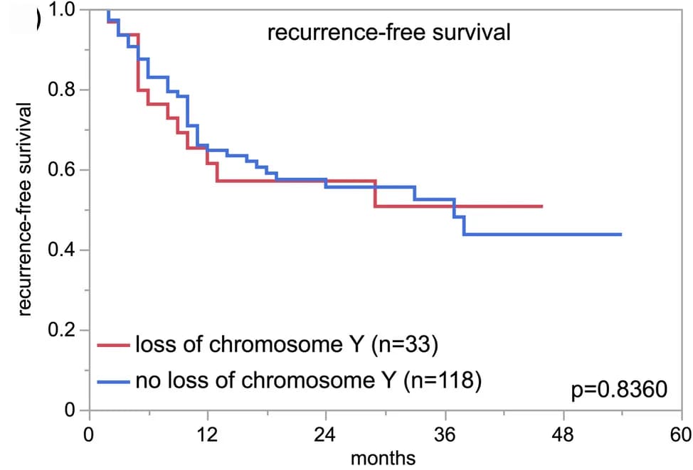Open access visualization of Survival Curve, Line Step, Chromosome Y Loss, Recurrence-Free Survival