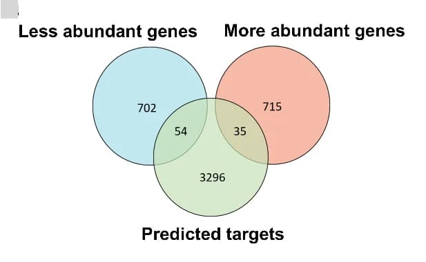 Open access visualization of Venn Diagram, Differentially Expressed Genes, Predicted Targets