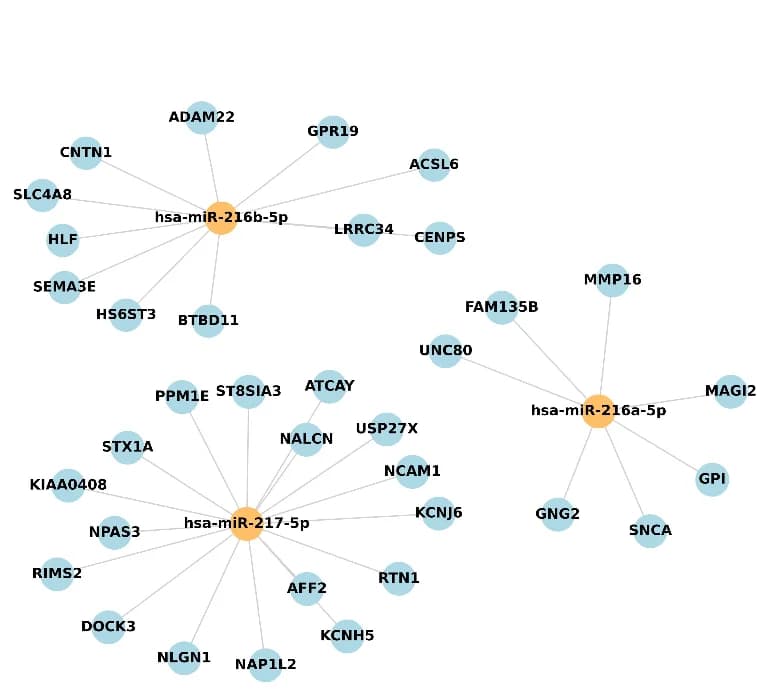 Open access visualization of Network, Pathway, Differentially Expressed microRNAs, mRNA