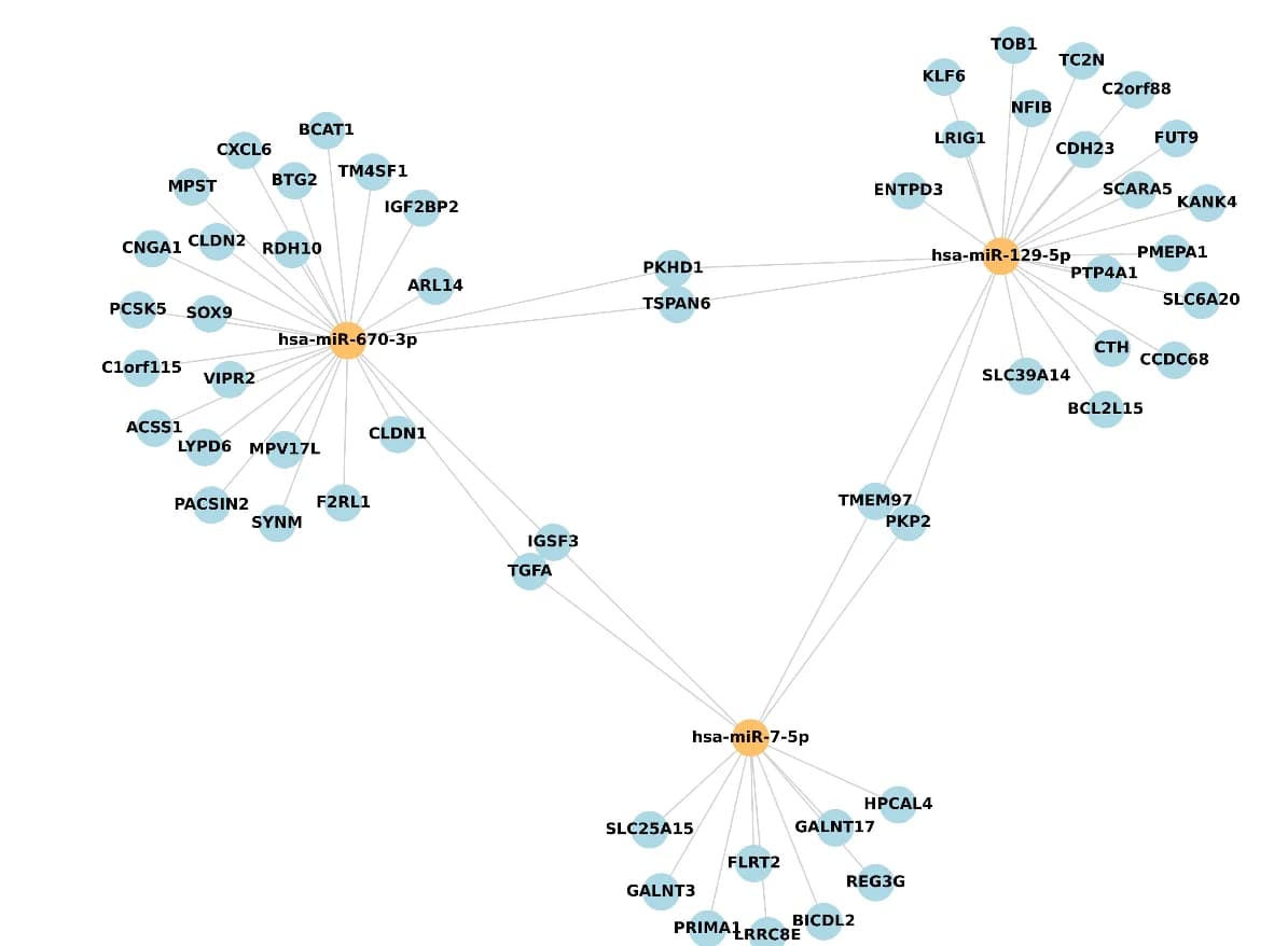 Open access visualization of Network, Pathway, Differentially Expressed microRNAs, mRNA Targets