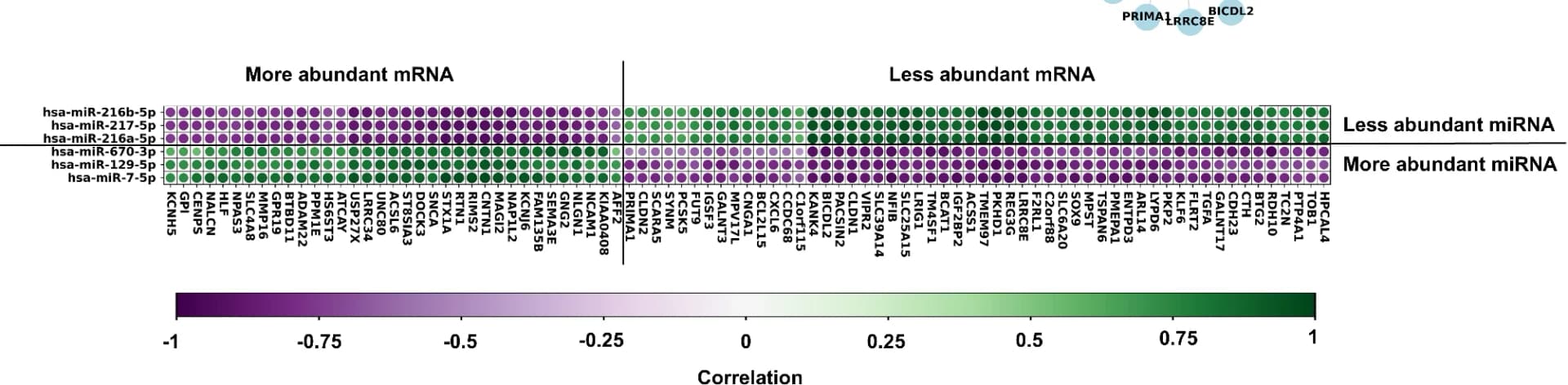 Open access visualization of Bubble Plot, Network, Hierarchical Clustering, Correlation Dot-plot, microRNA
