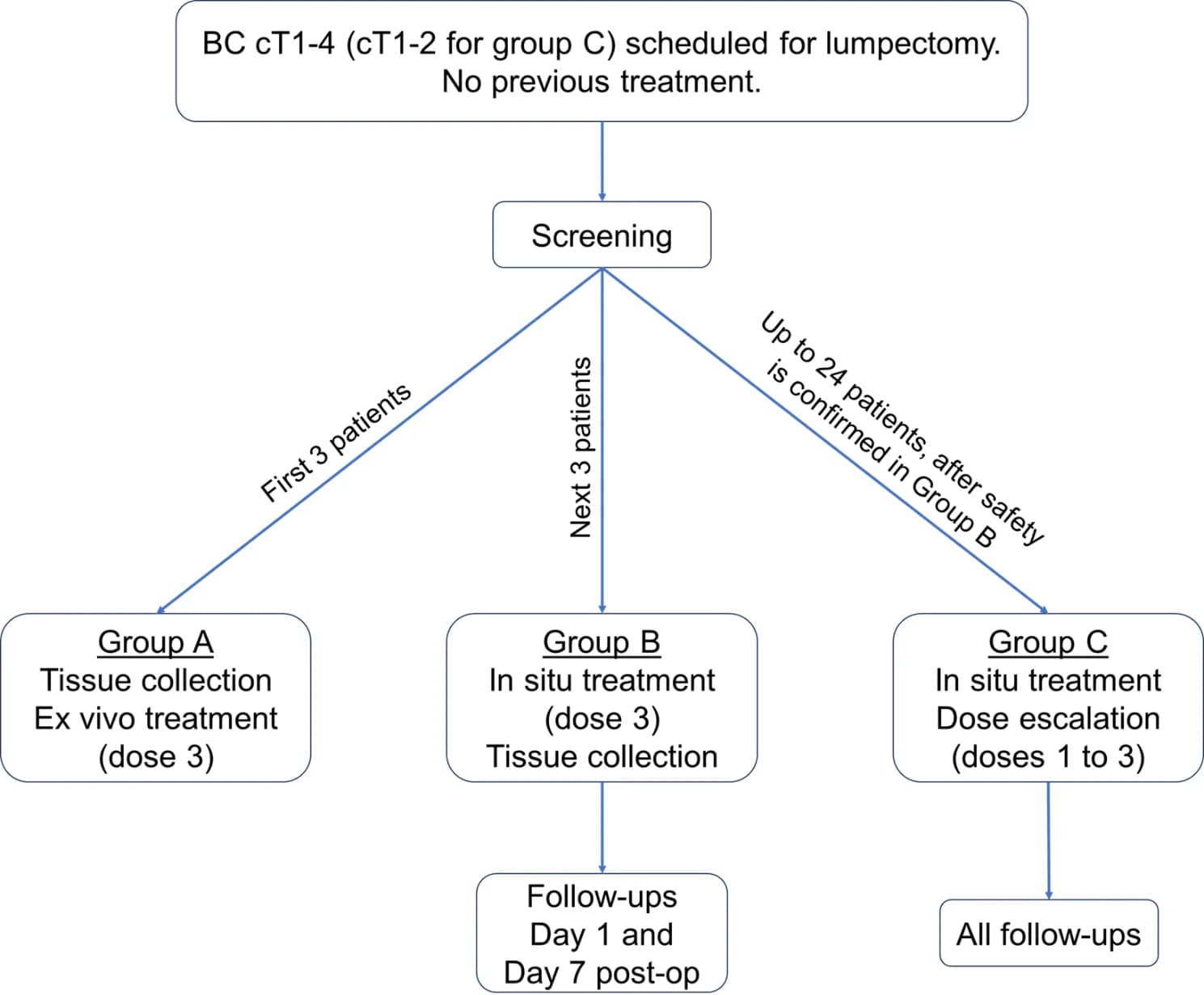 Open access visualization of Workflow, Flowchart, Study Schema, Breast Cancer, PAINT Study