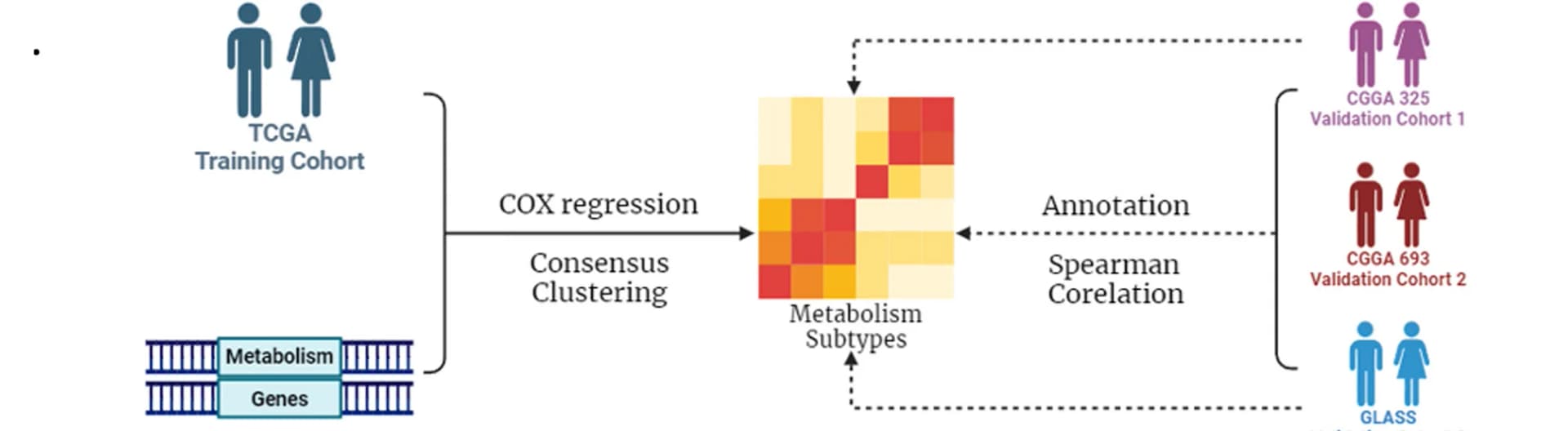 Open access visualization of Workflow, Heatmap, Flowchart, Methodologies, TCGA