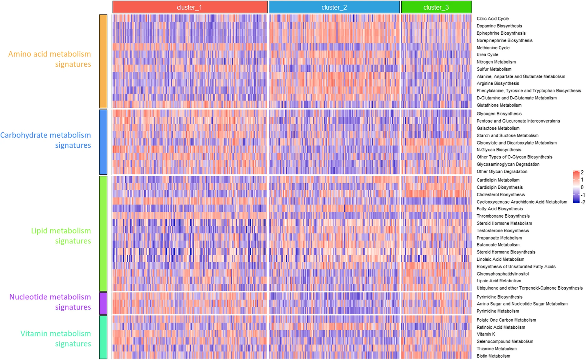 Open access visualization of Heatmap, Clustered, Metabolism, Signatures, Metabolic Subtypes