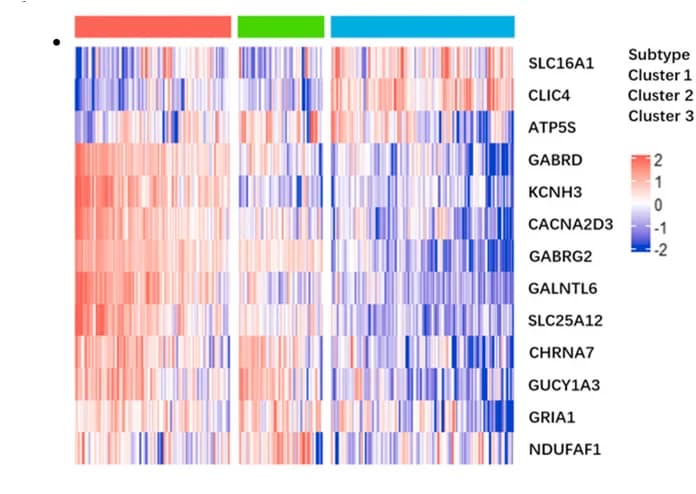 Open access visualization of Heatmap, Clustered, Gene Expression, Signature Genes